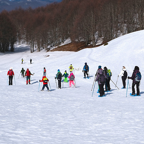 Ski area Campo Staffi