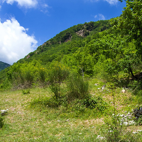 Parco Naturale dei Monti Lucretili