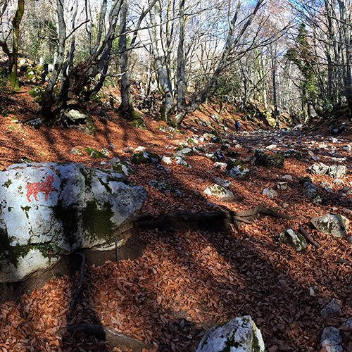 Autunno
