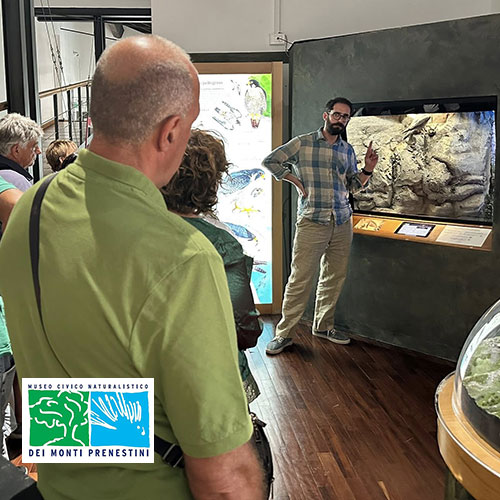Il direttore del Museo Naturalistico dei Monti Prenestini spiega un diorama durante una visita guidata