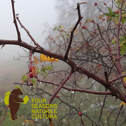 Derapare con il Drift Trike