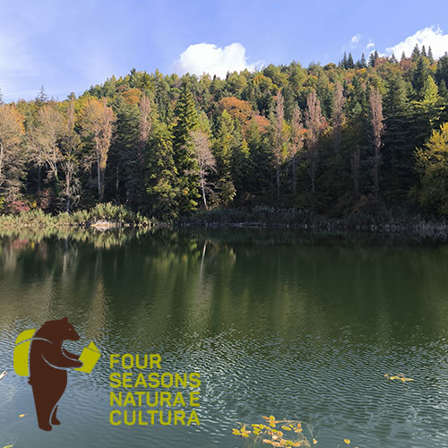 Derapare con il Drift Trike