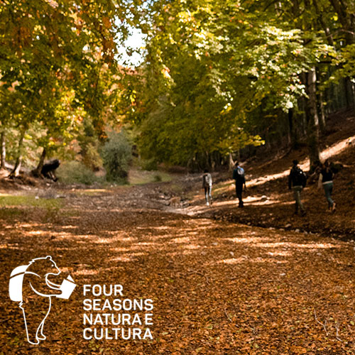 Derapare con il Drift Trike